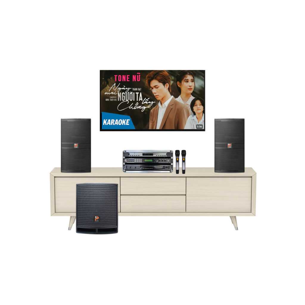 Dàn Karaoke Gia Đình Chính Hãng Prosing – COMBO 2