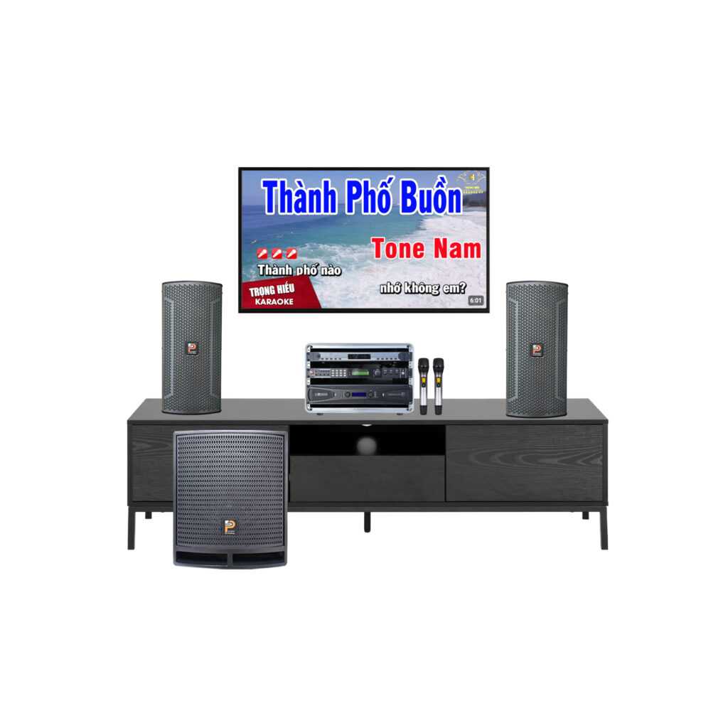 Dàn Karaoke Gia Đình Chính Hãng Prosing – COMBO 3