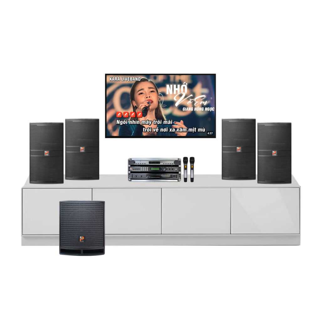 Dàn Karaoke Gia Đình Chính Hãng Prosing – COMBO 4